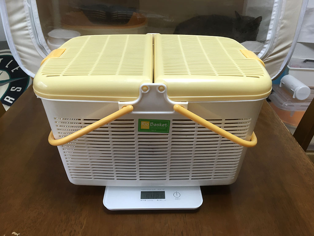 iPhone20191002_0751-1