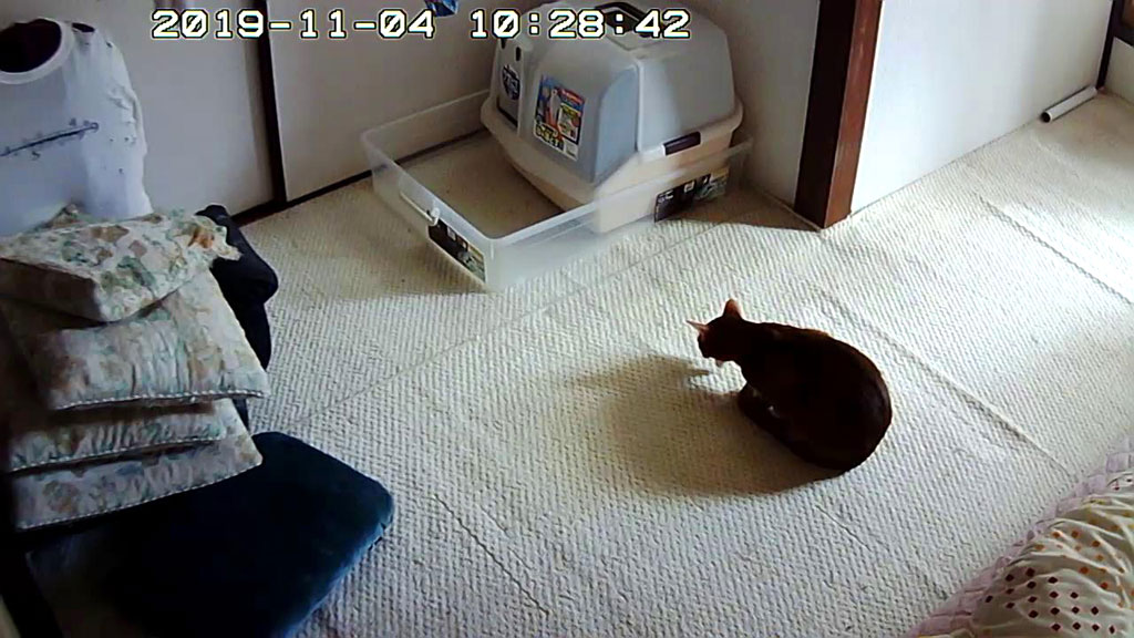 Snapshot_20191104_1028