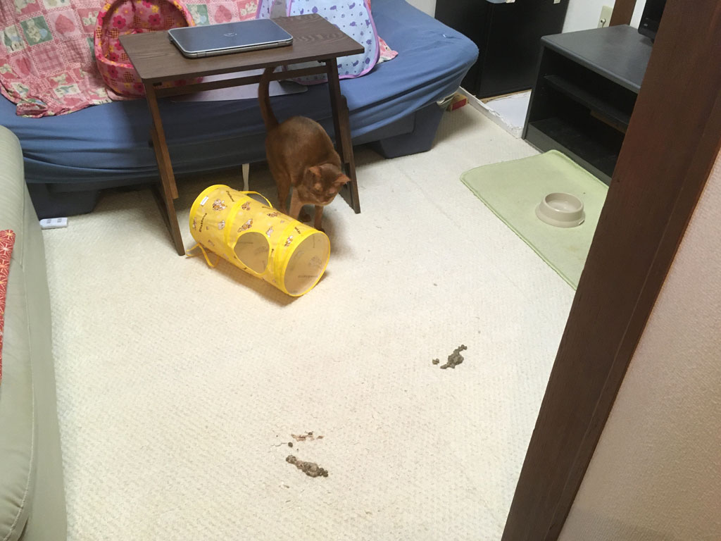 iPhone20191106_0928-1