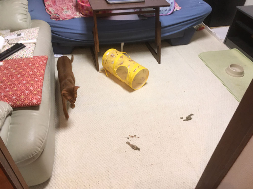 iPhone20191106_0928-2
