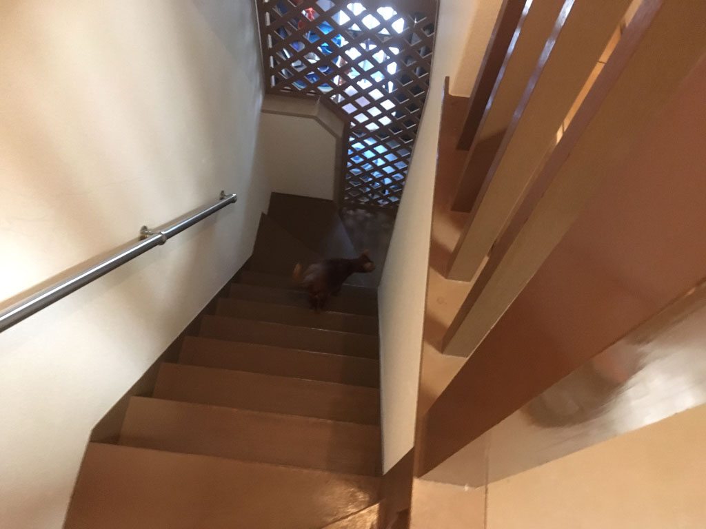 iPhone20191106_0928-4