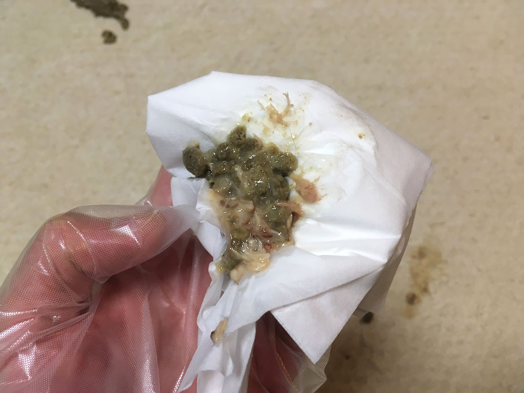iPhone20191106_0928-6