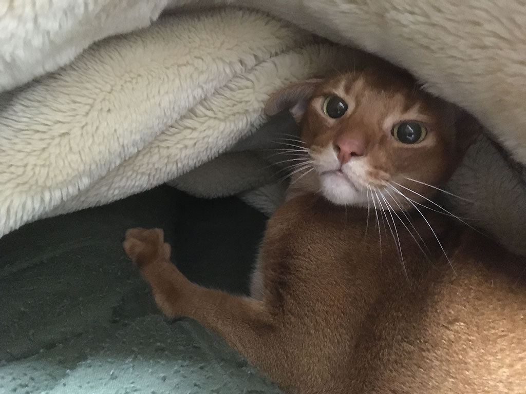 iPhone20191110_2333-3