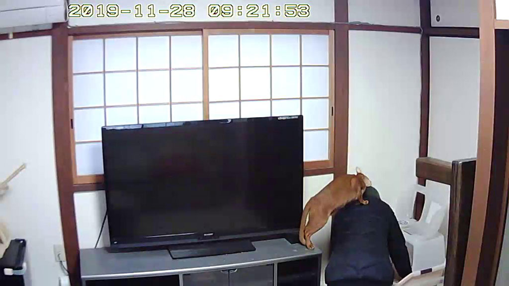 Snapshot_20191128_0921-3