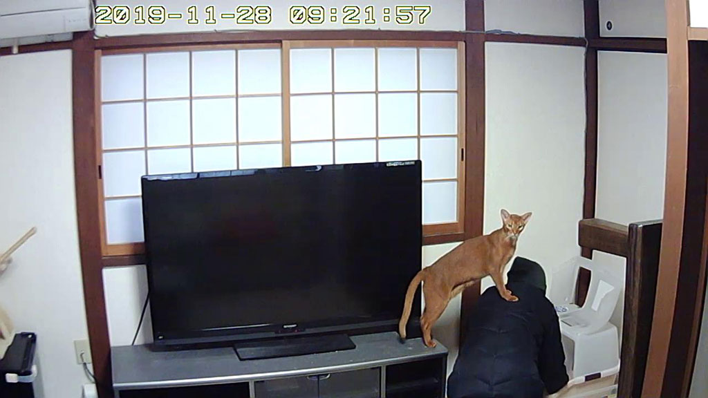 Snapshot_20191128_0921-4