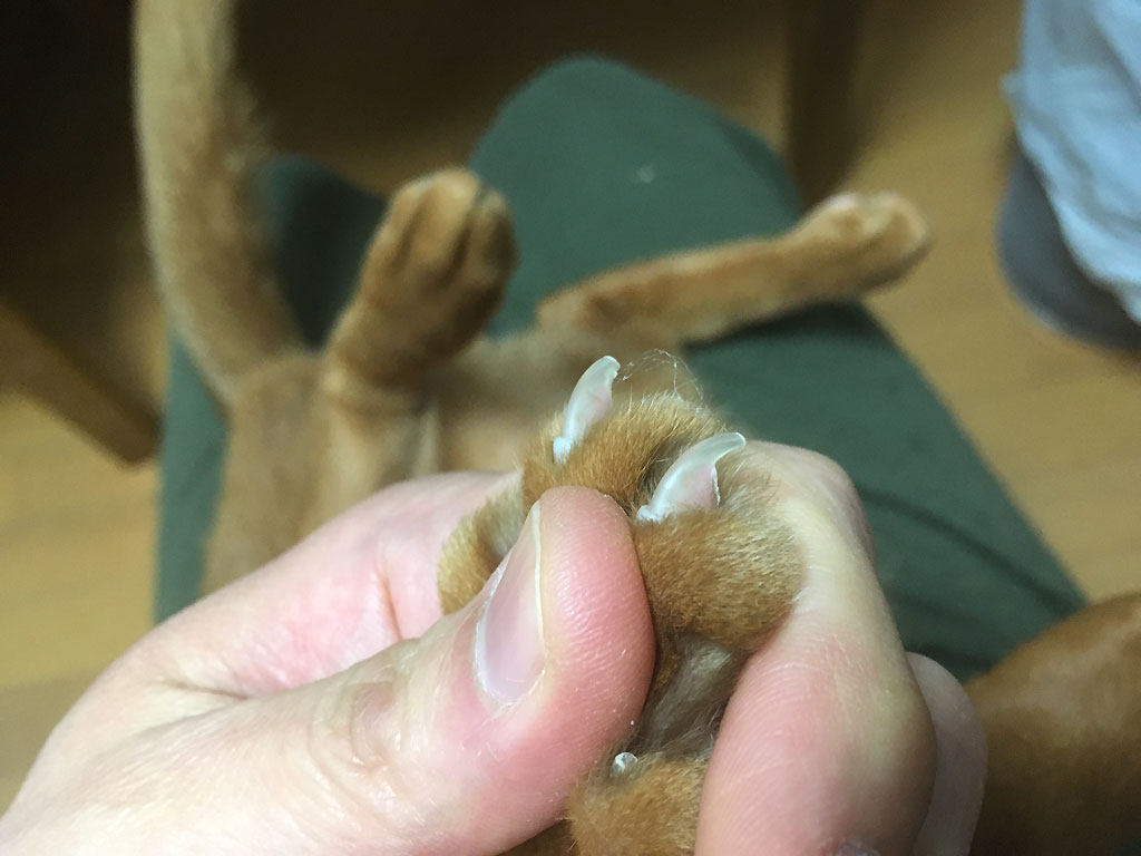 iPhone20191125_1206-2