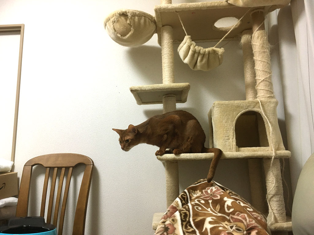 iPhone20191211_2417-2