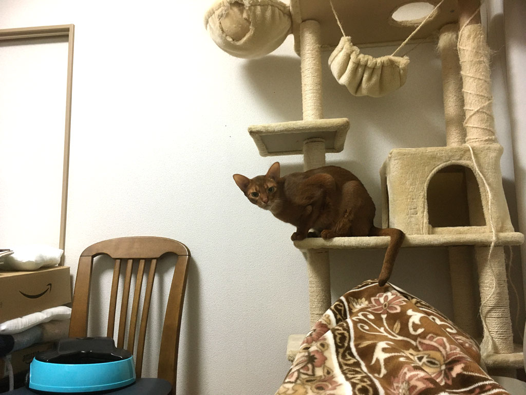 iPhone20191211_2417-3