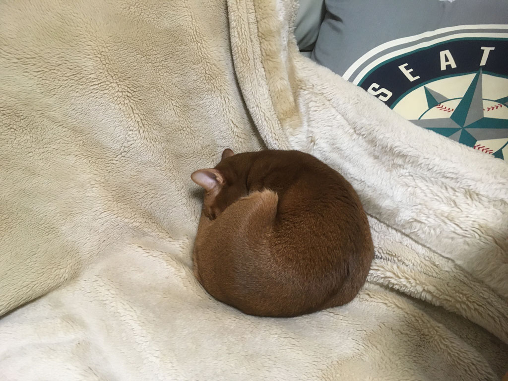 iPhone20191218_0445-2