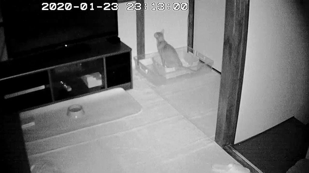 Snapshot_20200123-2313