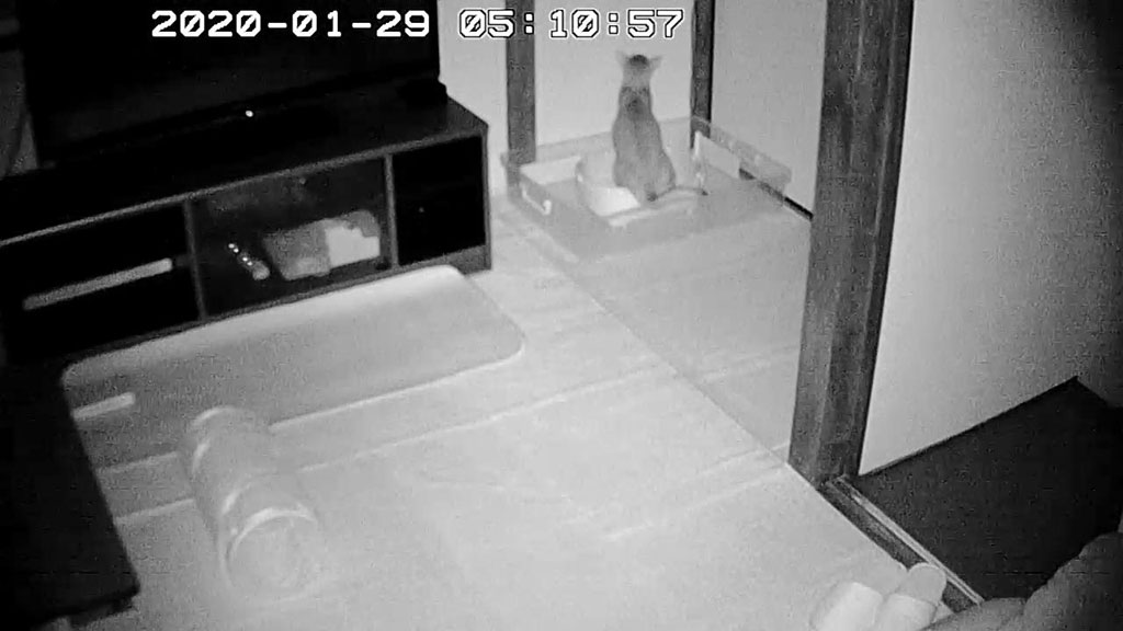 Snapshot_20200129-0510