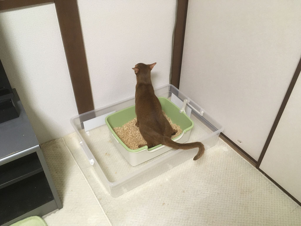 iPhone_20200123-2323-1