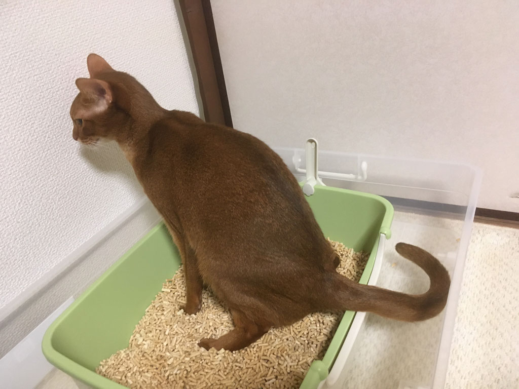 iPhone_20200123-2323-2