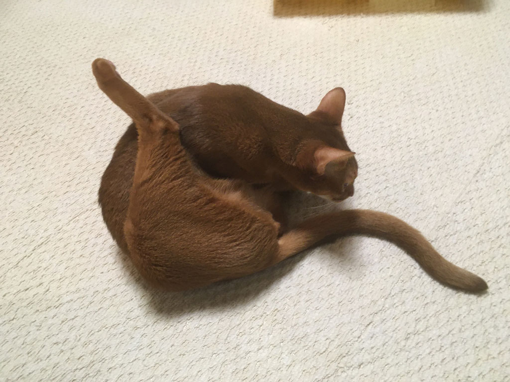 iPhone_20200123-2323-3