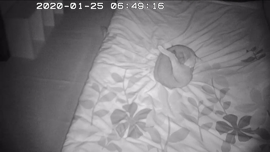 iPhone_20200125-0649