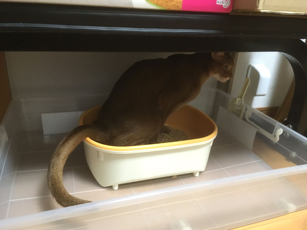 iPhone_20200125-0704-2