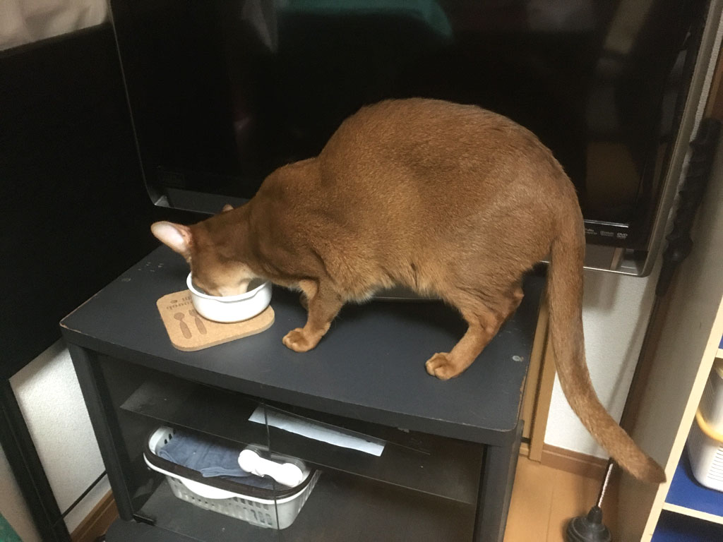 iPhone_20200125-0715-1