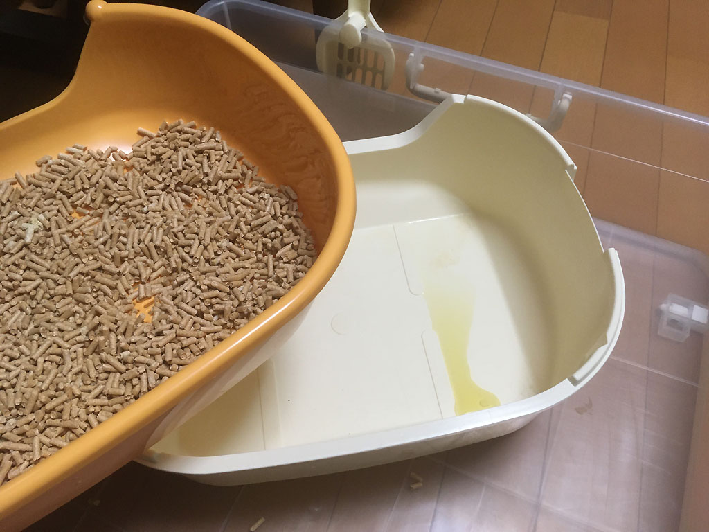 iPhone_20200125-0715-4