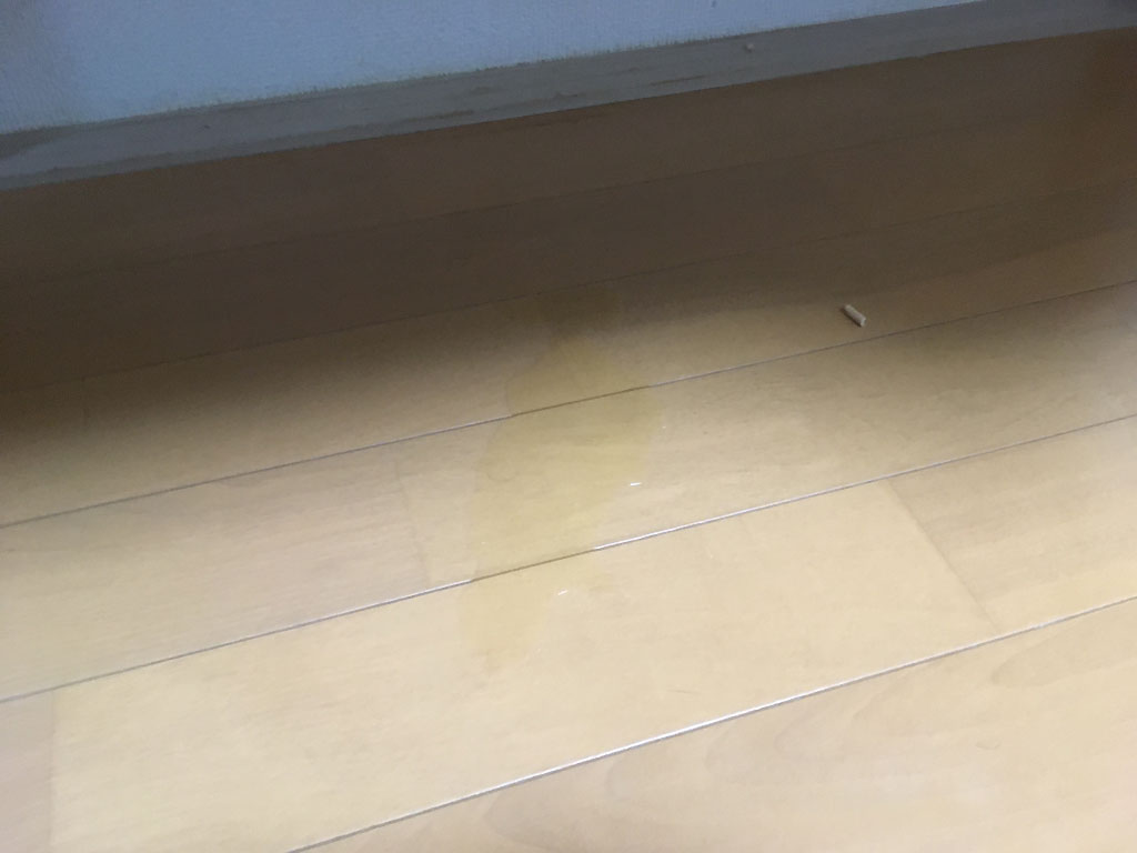 iPhone_20200125-0727-2