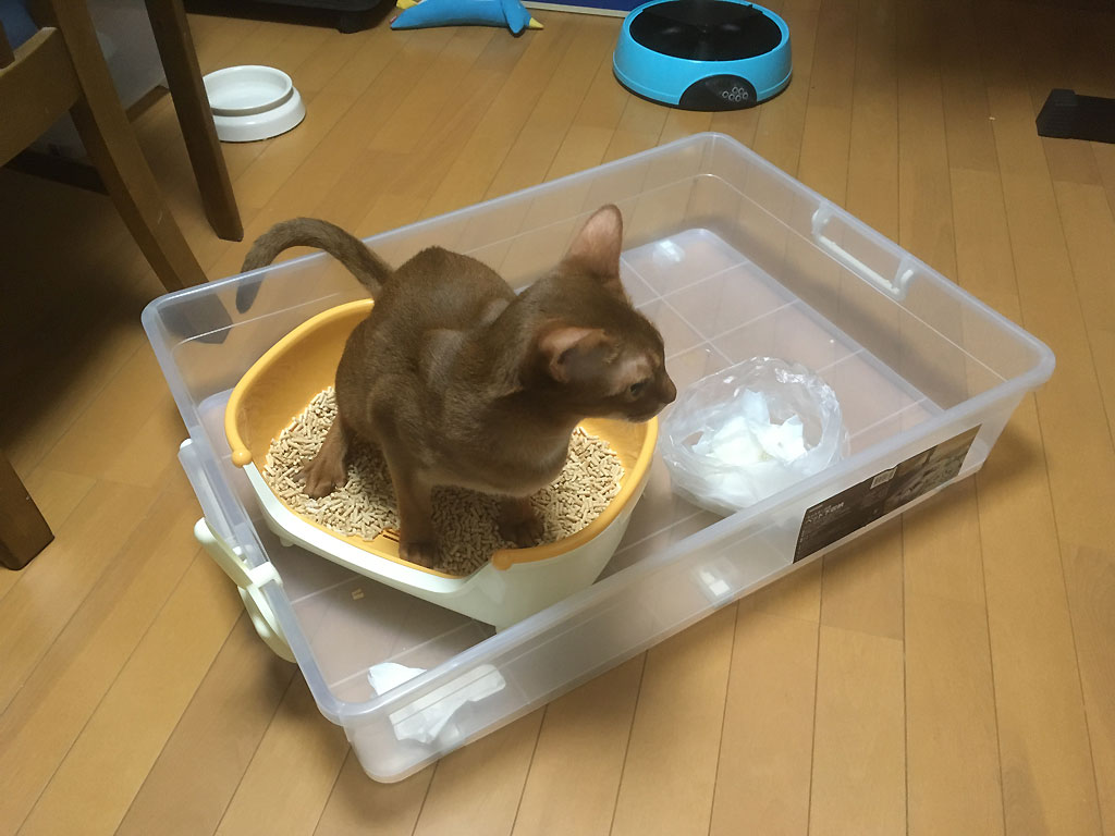 iPhone_20200125-0731