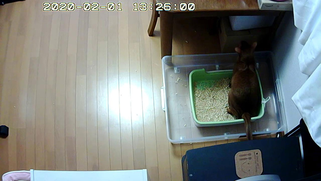 Snapshot_20200201_1326