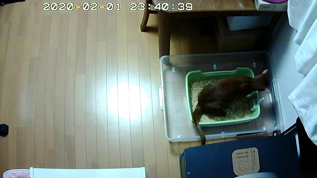 Snapshot_20200201_2340