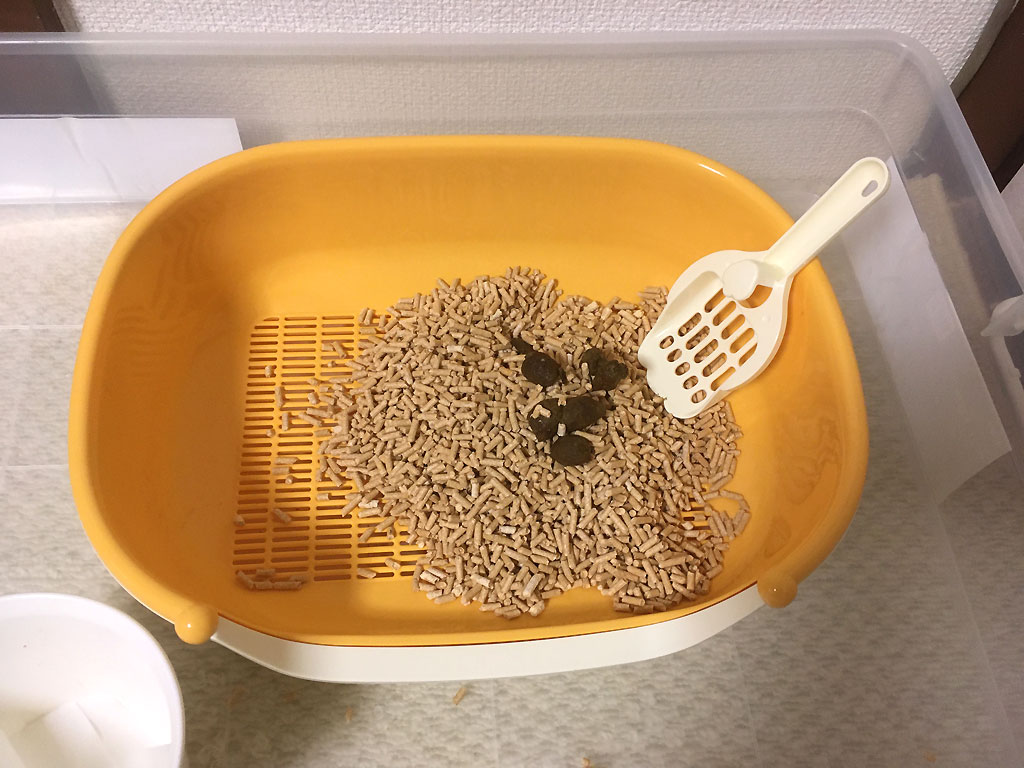 iPhone20200127_0952-2