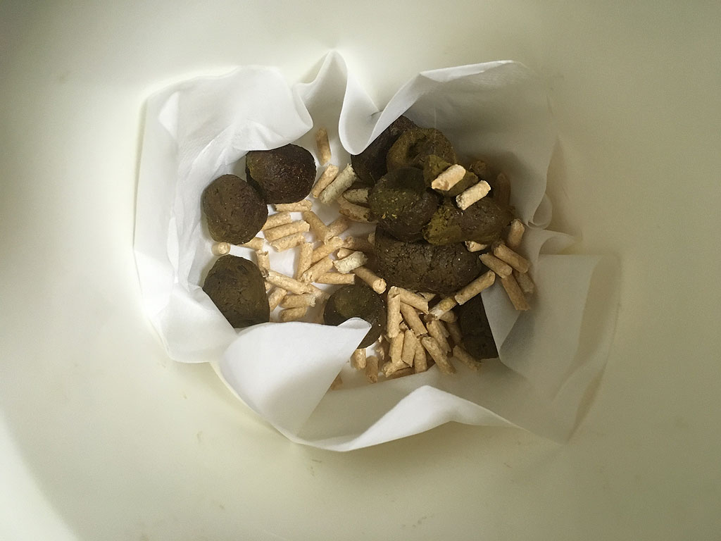 iPhone20200128_0903-2