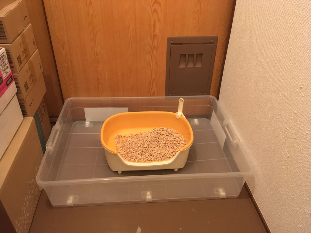 iPhone20200210_0551-2