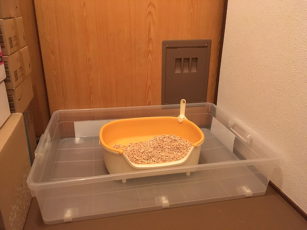 iPhone20200210_0551-3