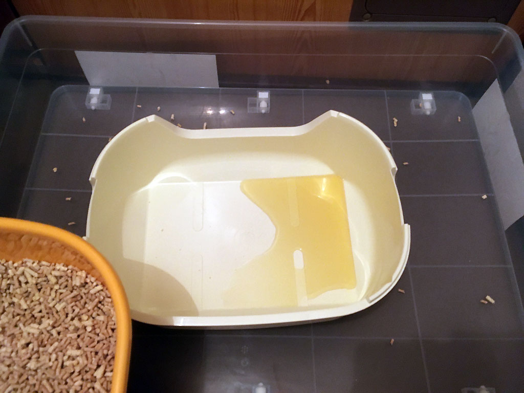 iPhone20200218_0815-3