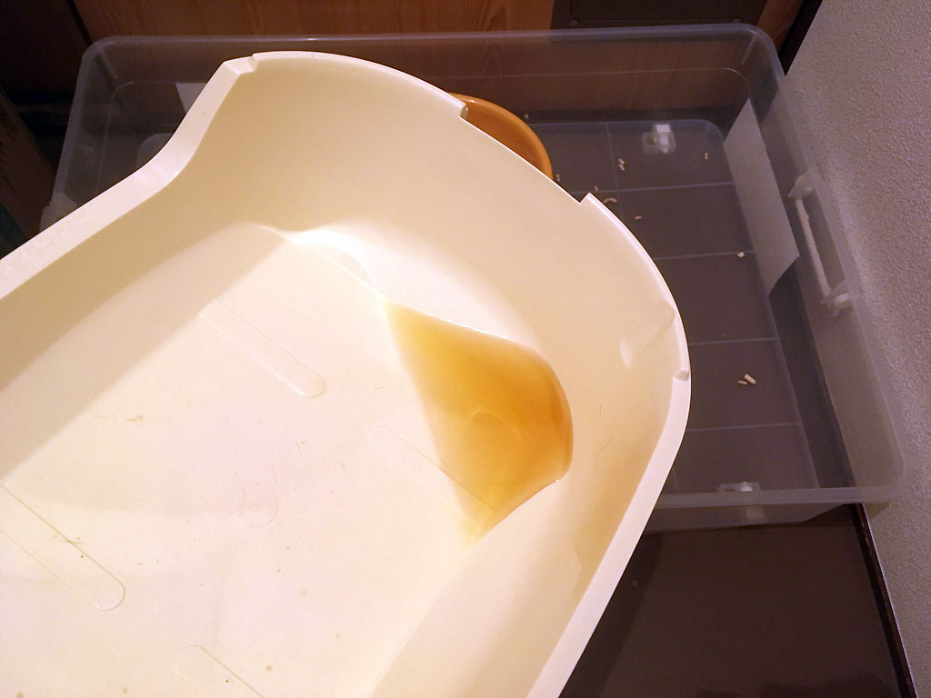 iPhone20200218_0815-4