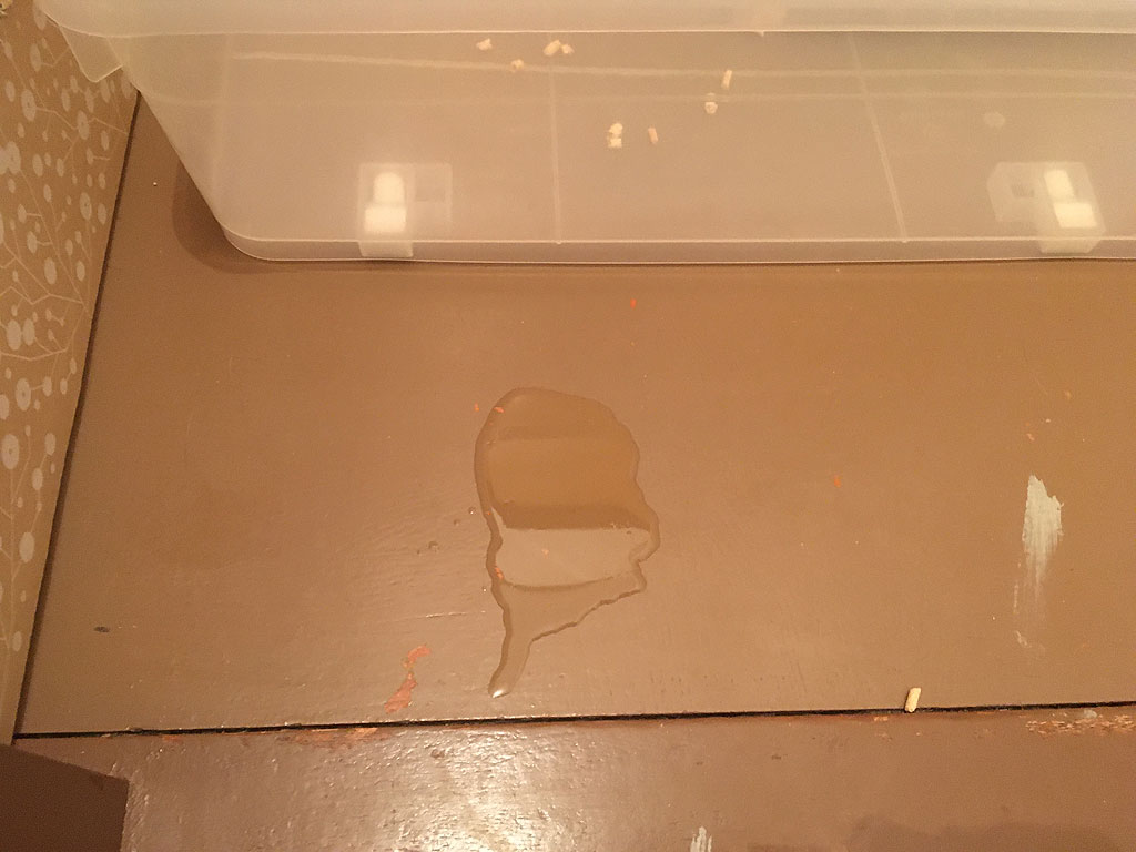 iPhone20200220_1118-5