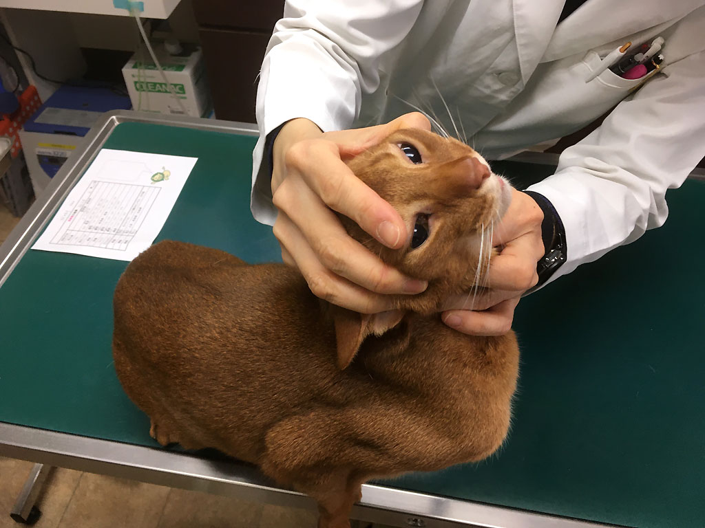 iPhone20200221_1004-2