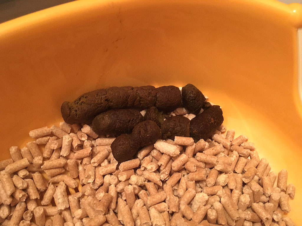 iPhone20200225_2401-3