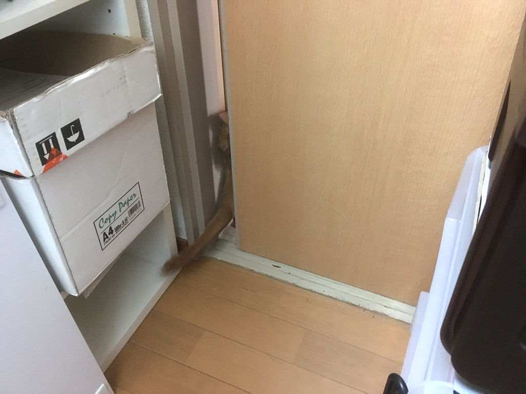 iPhone20200313_1000-3