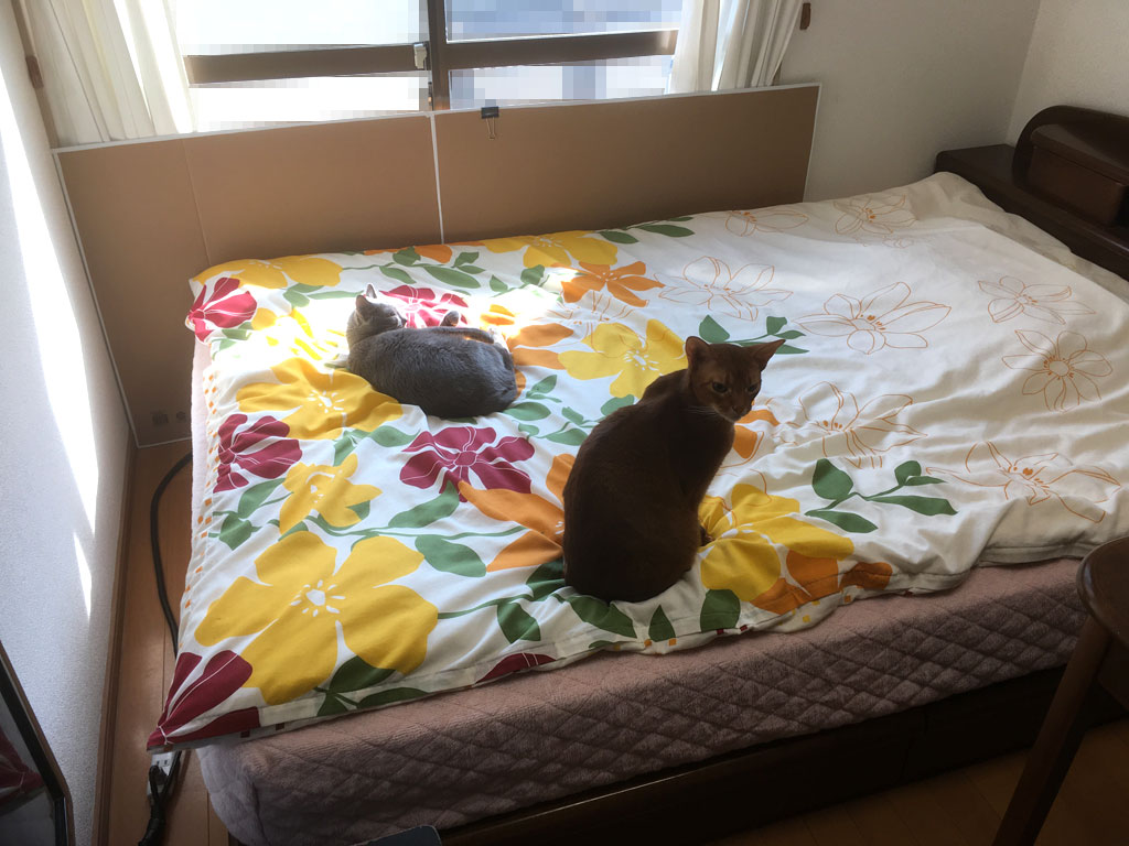 iPhone20200411_0837-1