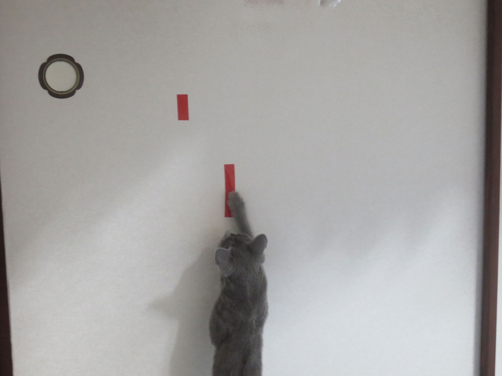 補修の跡が気になるロシ子。