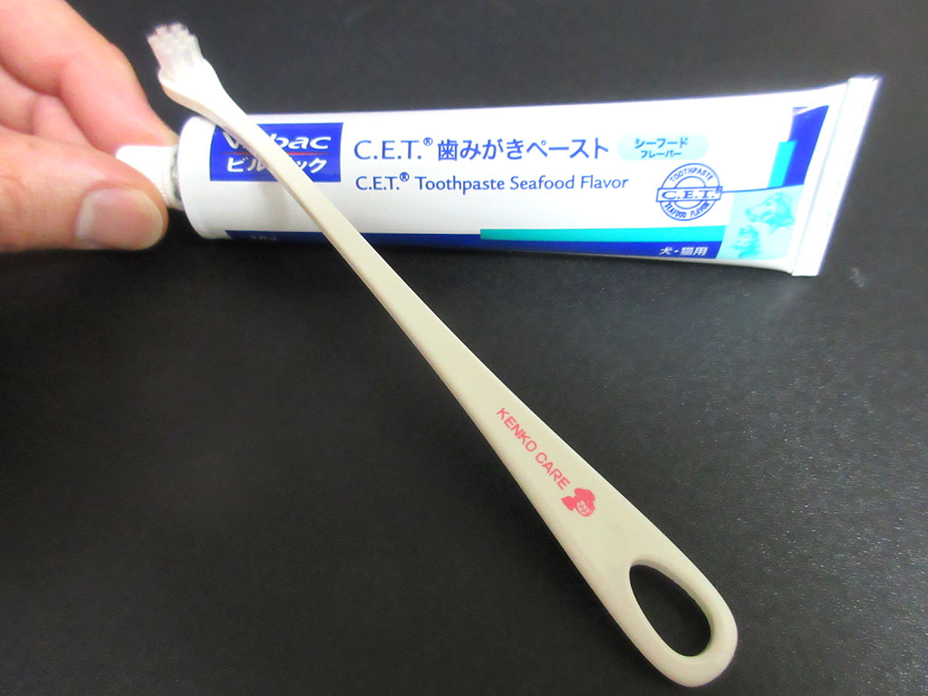 ロシ子の歯ブラシ。