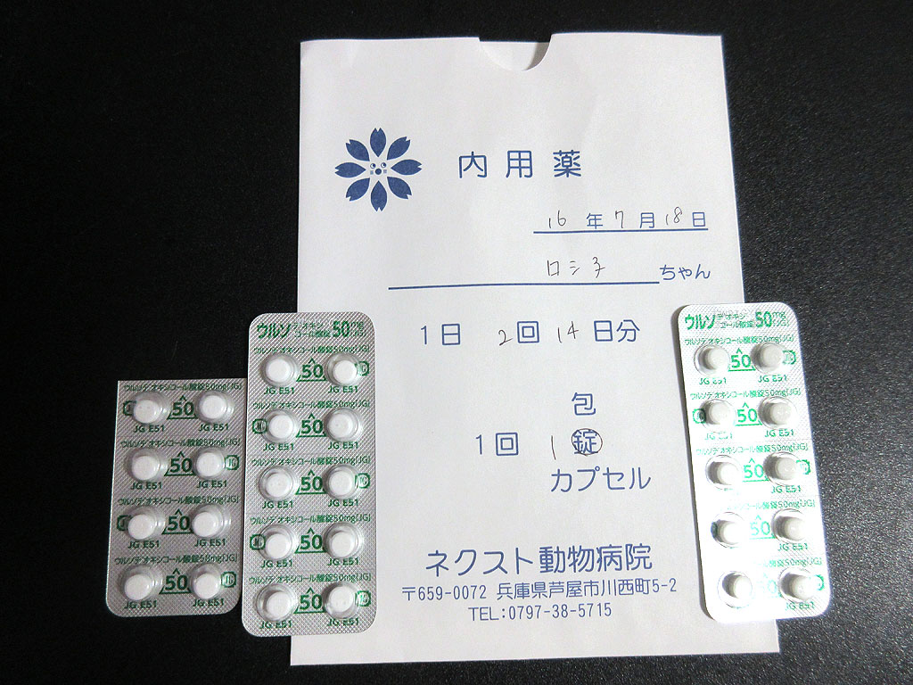 ウルソ50（強肝剤）