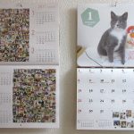 猫のきもちの1月のカレンダー。