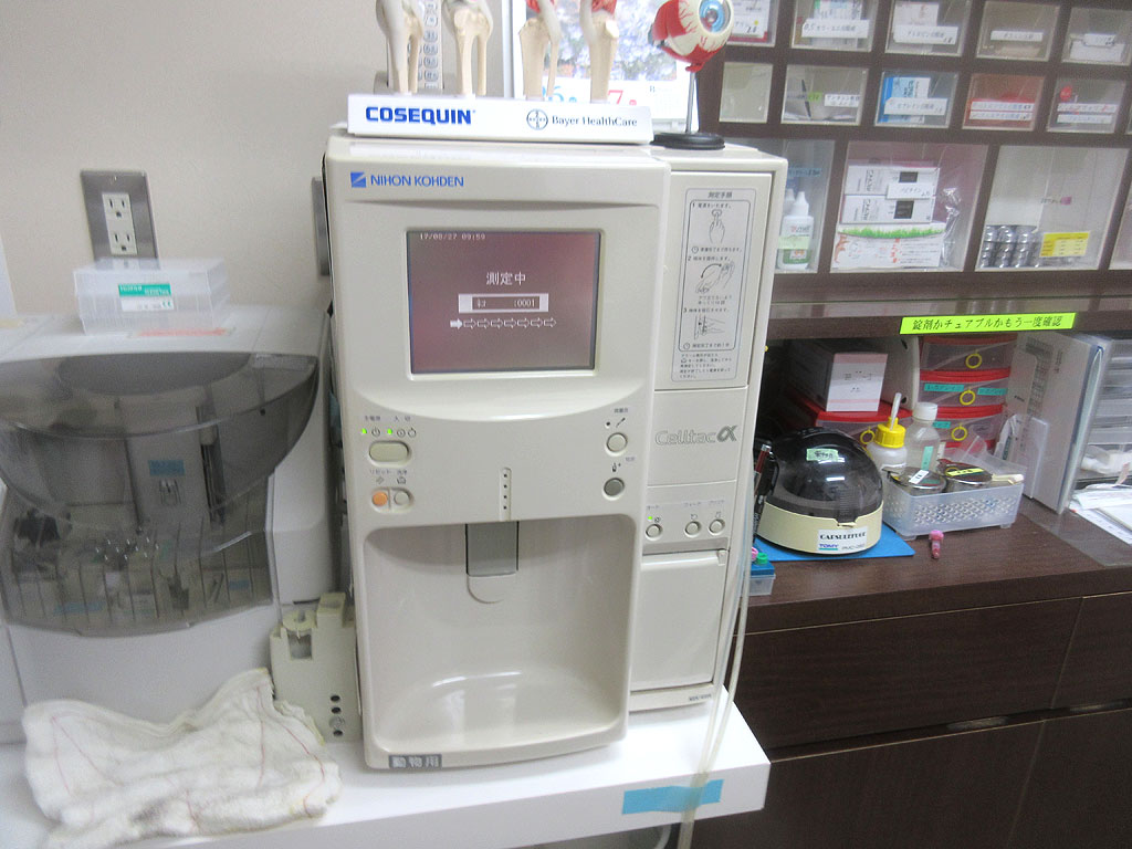 この器械で血液検査。