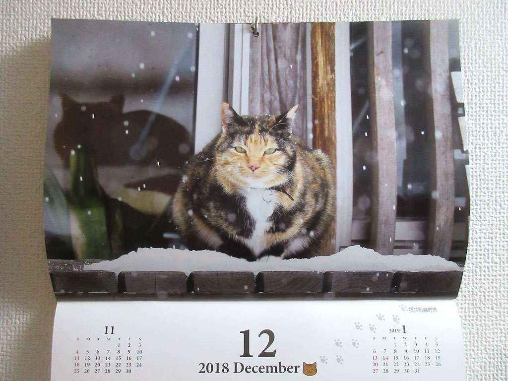 12月のカレンダーの猫ちゃん。