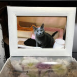 iPhone-20240125-1140