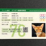 iPhone-20241220-1558