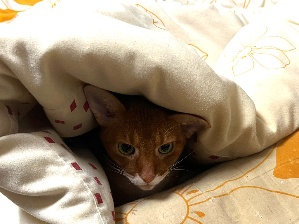 iPhone-20260117-2225-3