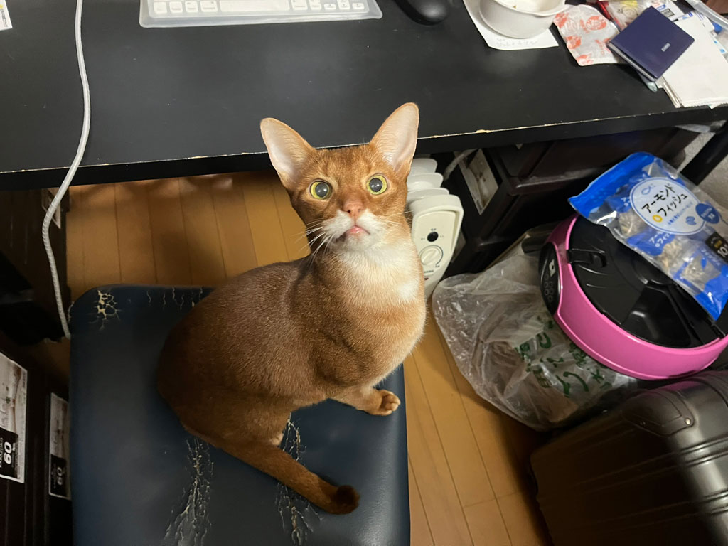 iPhone-20260125-0950-1