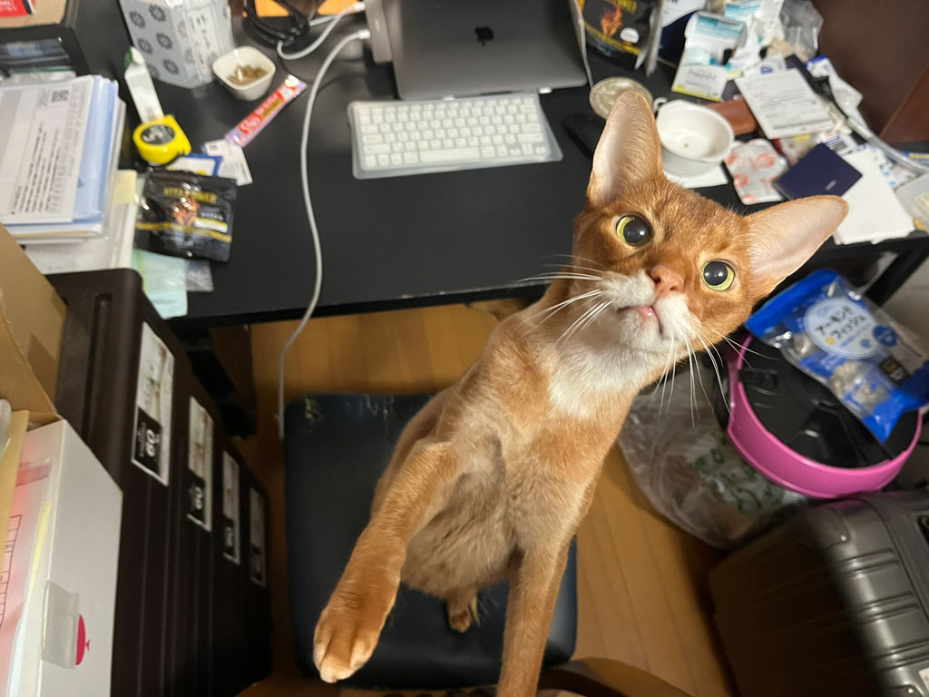 iPhone-20260125-0950-2