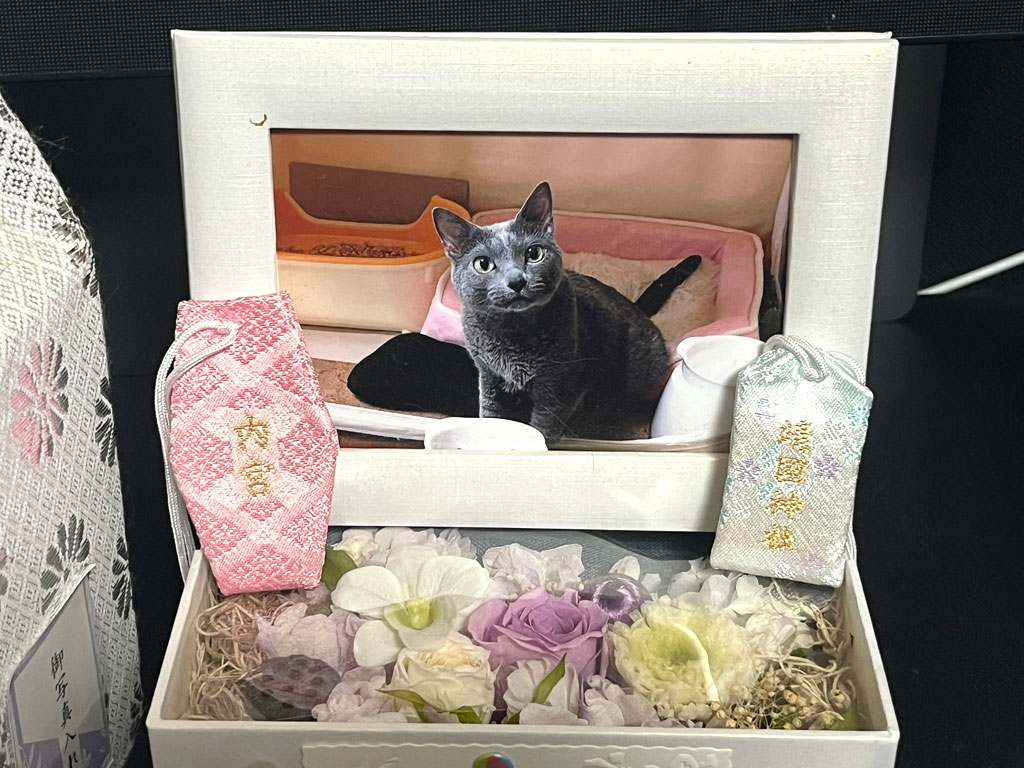 iPhone-20260125-1025-2