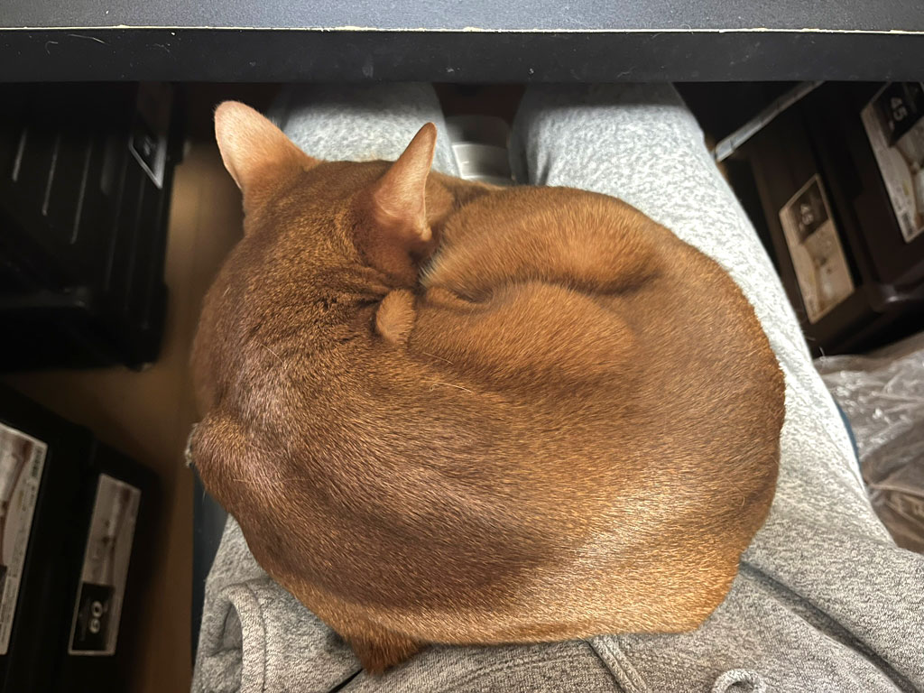 iPhone-20260125-1141